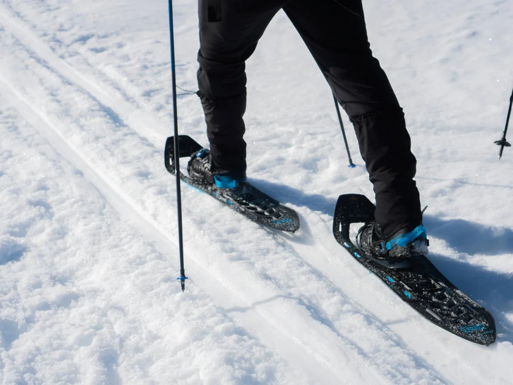 Hotel Principe delle Nevi | Ski-in e ski-out a Cervinia