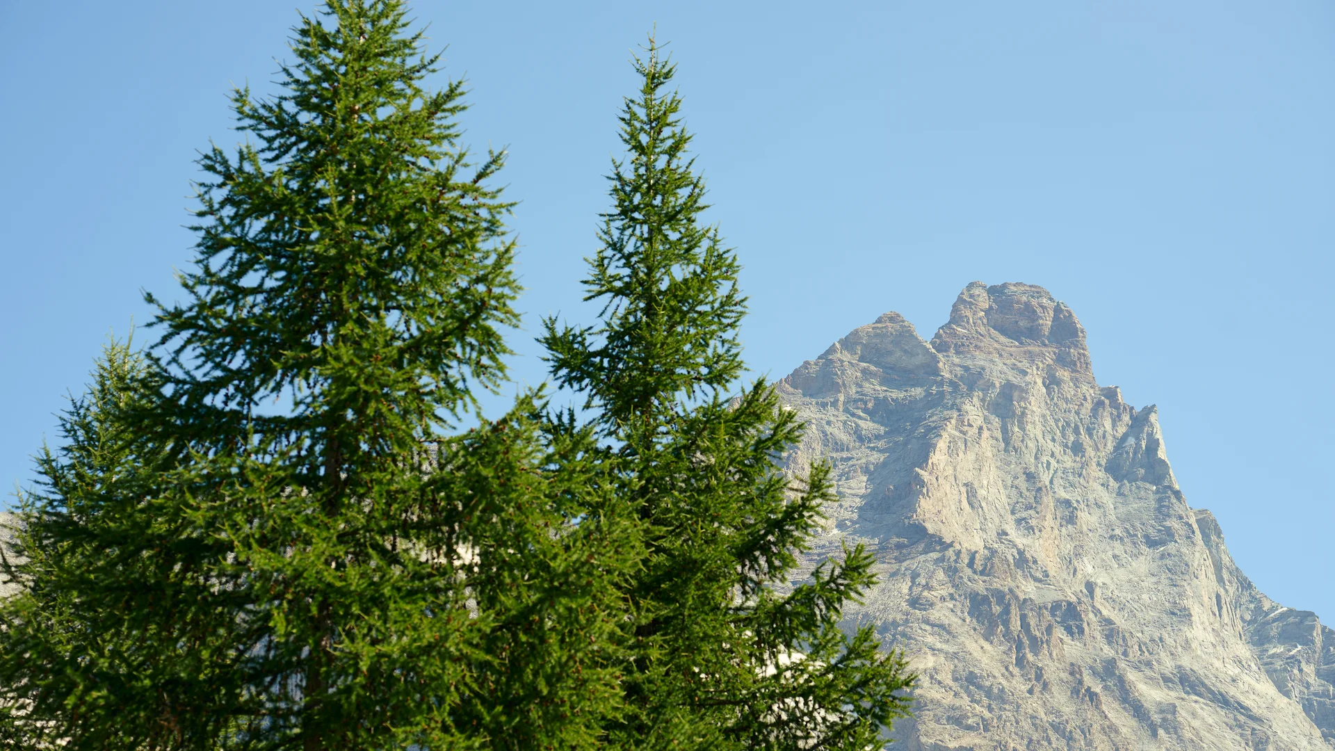 Hôtel Principe delle Nevi | Vacances d’été à Cervinia