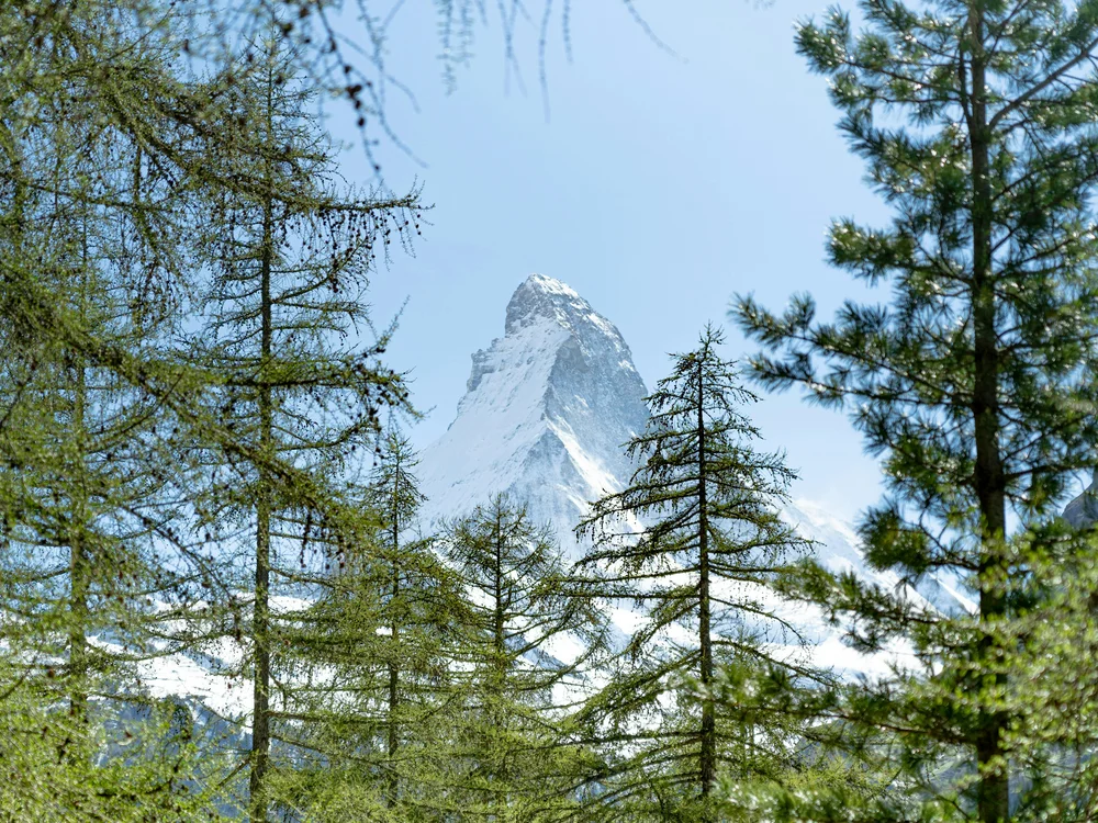 Hotel Principe delle Nevi | Vacanza estiva a Cervinia